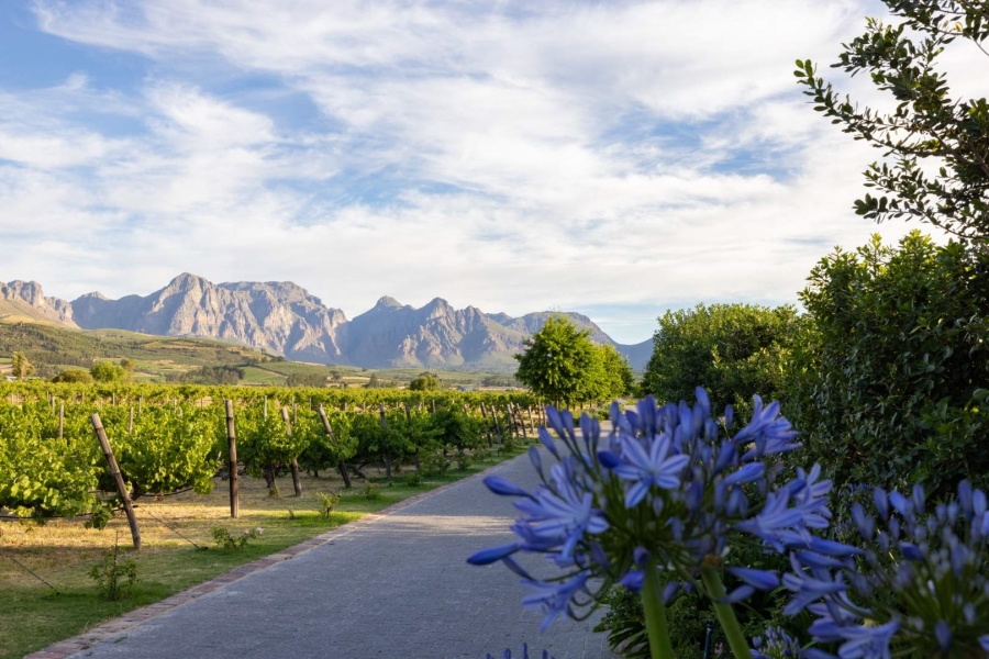 6 Bedroom Property for Sale in Klein Parys Western Cape